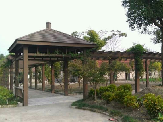 1550895943116009.jpg 111.jpg